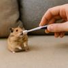 Wide Head Pet Toothbrush Long Handle Oral Cleaning Brush Plaque Remover Animal Toothbrush  Pet Care