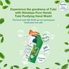 Himalaya Pure Hands Tulsi Hand Wash Pump 250ml Gentle Cleansing Liquid Soap With Germ Protection And Soft Skin Care