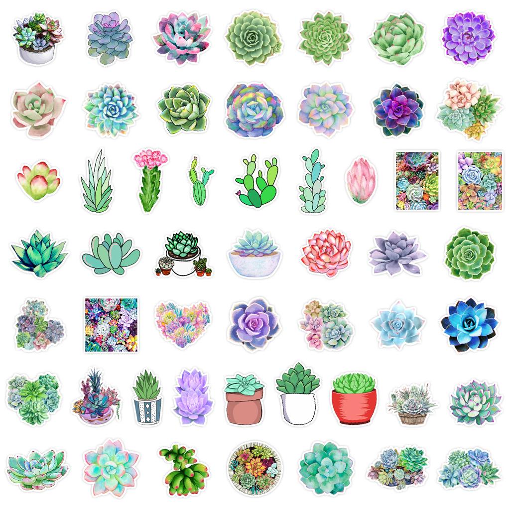 50 Succulents Doodle Stickers Suitcase Car Notebook Refrigerator Water Cup Waterproof Decorative Stickers