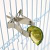2Pcs Birds Food Holder Pet Parrot Feeding Fruit Vegtable Clip Feeder Device Pin Clamp Durable Household Bird Cage Accessory
