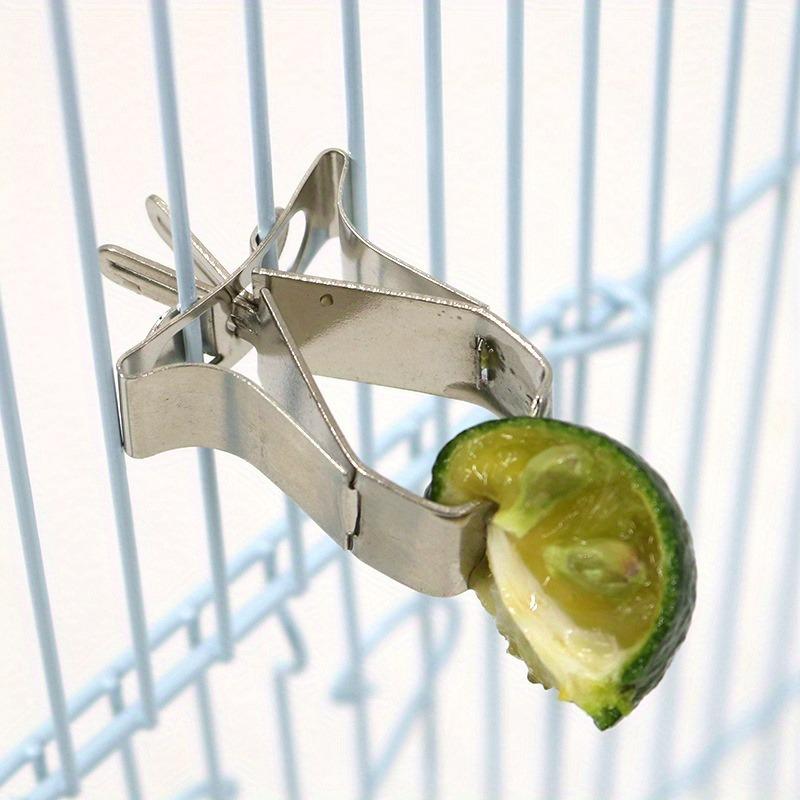 2 Pezzi Porta Cibo per Uccelli Pappagallo Pet Pinza per Frutta Verdura Dispositivo Alimentatore Pinza a Morsetto Durevole Accessorio per Gabbia per Uccelli Domestici.