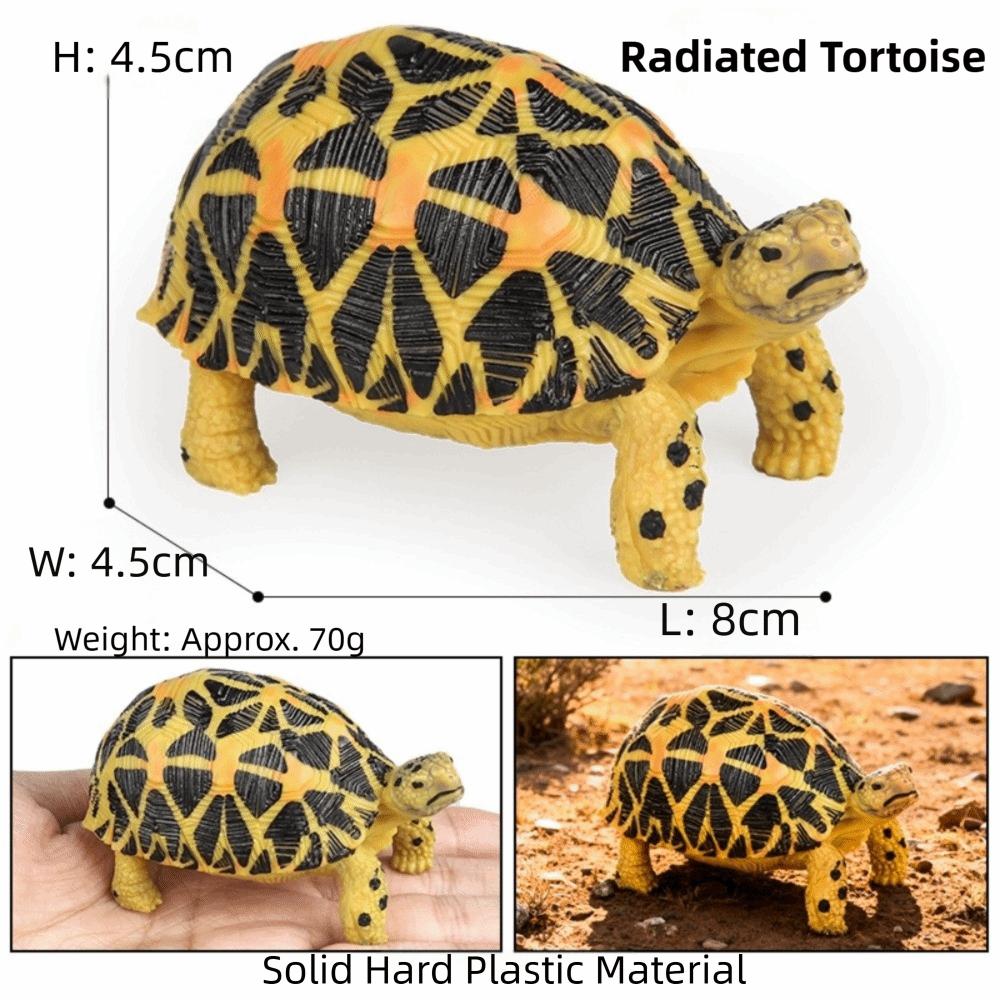 Educational Toy PVC Tortoise Figurines Animal Shape Detailed Sculpture Geochelone Model Model Figurines PVC Ornament Kids Toy