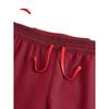 ANTA x Xu Beihong Galloping Horse Series Racing Shorts