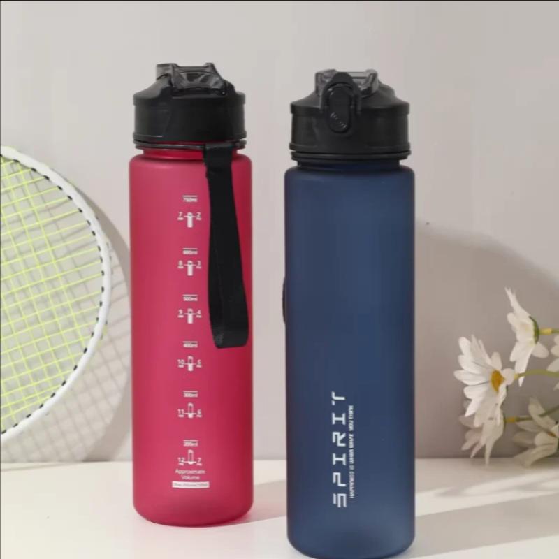 750ML Leak-Proof Sports Water Bottle with Straw and Carrying Loop BPA-Free Portable Mug with Seal Lid for Fitness Camping
