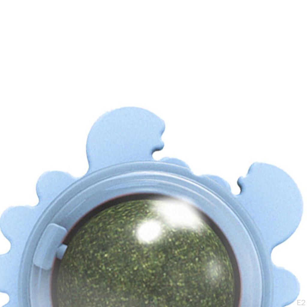 Katzenminz-Bälle Essbar Abnehmbar Drehbar Interaktiv für Snacks, Reinigung, Spielen, Kätzchen Kauen