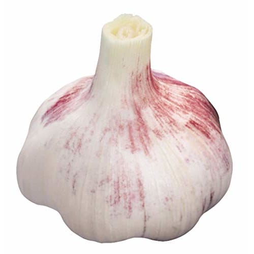 PEARL METAL Garlic Peeler, White, 3.5cm Outer Diameter x 13.5cm Total Length, Gadget Con CC-1229