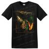 10 Years The Autumn Effect Hummingbird Graphic T Shirt Distressed Vintage