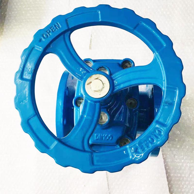 PinXie DN80 PN1.6 Flanged Gate Valve