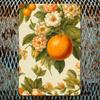 Petrichor Orange & White Floral Decor for Wall, Bedroom & Kitchen, Unique Floral Decor, Home & Garden Wall Art for Indoor & Outd