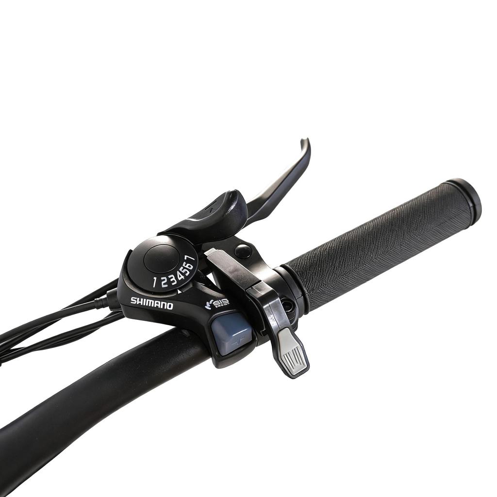 PVY M29 Multi Terrain E- Bike 48V17.5Ah Battery 250W Motor Outdoor Riding Electric Bike 29 Inch Tires City Commuting Electric Bicycle