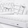 TMKB T68E Wired Gaming Mechanical Keyboard with RGB Gasket Smooth Typing Factory Blueberry White 60% Backlight, Hot-Swap, Mount, Feel, Lubricated,