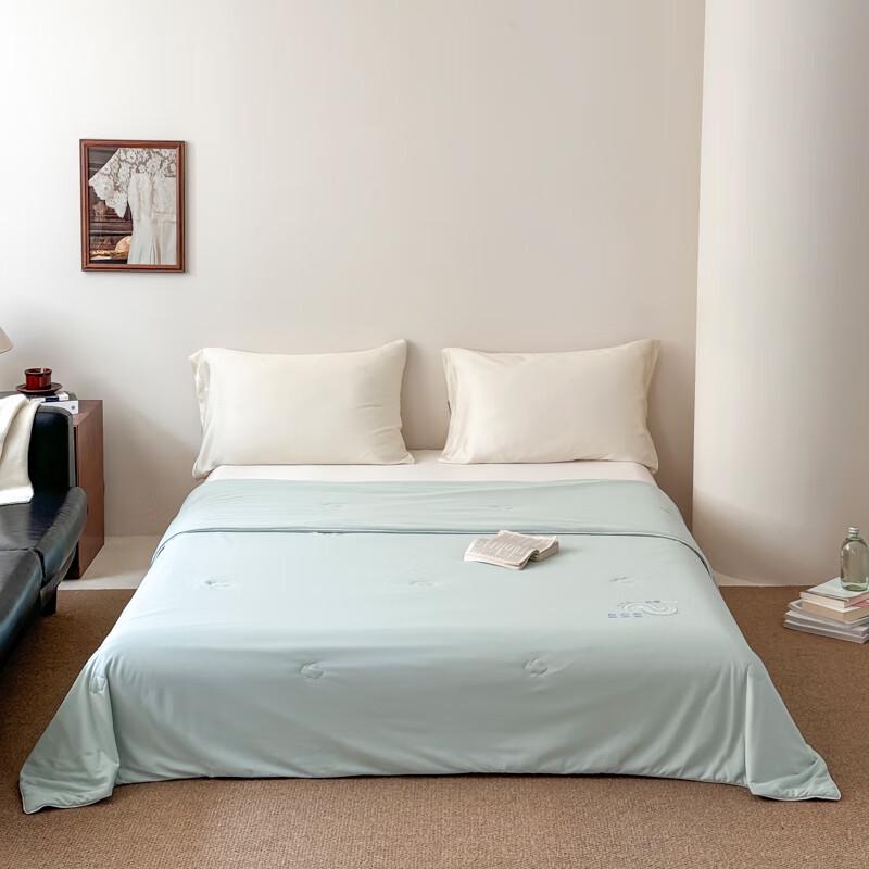 

Southern Life Washed Pearl Protein Summer Quilt