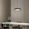 Oeny Nordic Minimalist Light Luxury Pendant Lamp