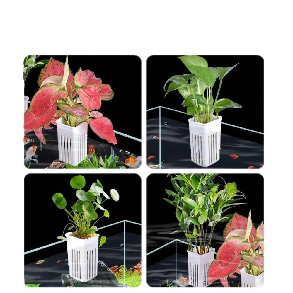 Multifunctional Aquarium Plant Basket Slotted Drainage Aquarium Growing Cup Aquarium Planting
