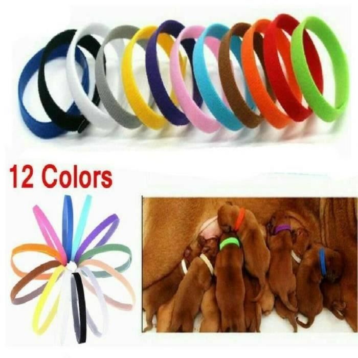 Identification Collar - Assorted - Adjustable - For Puppies and Kittens - Set of 12 - Soft and Flexible