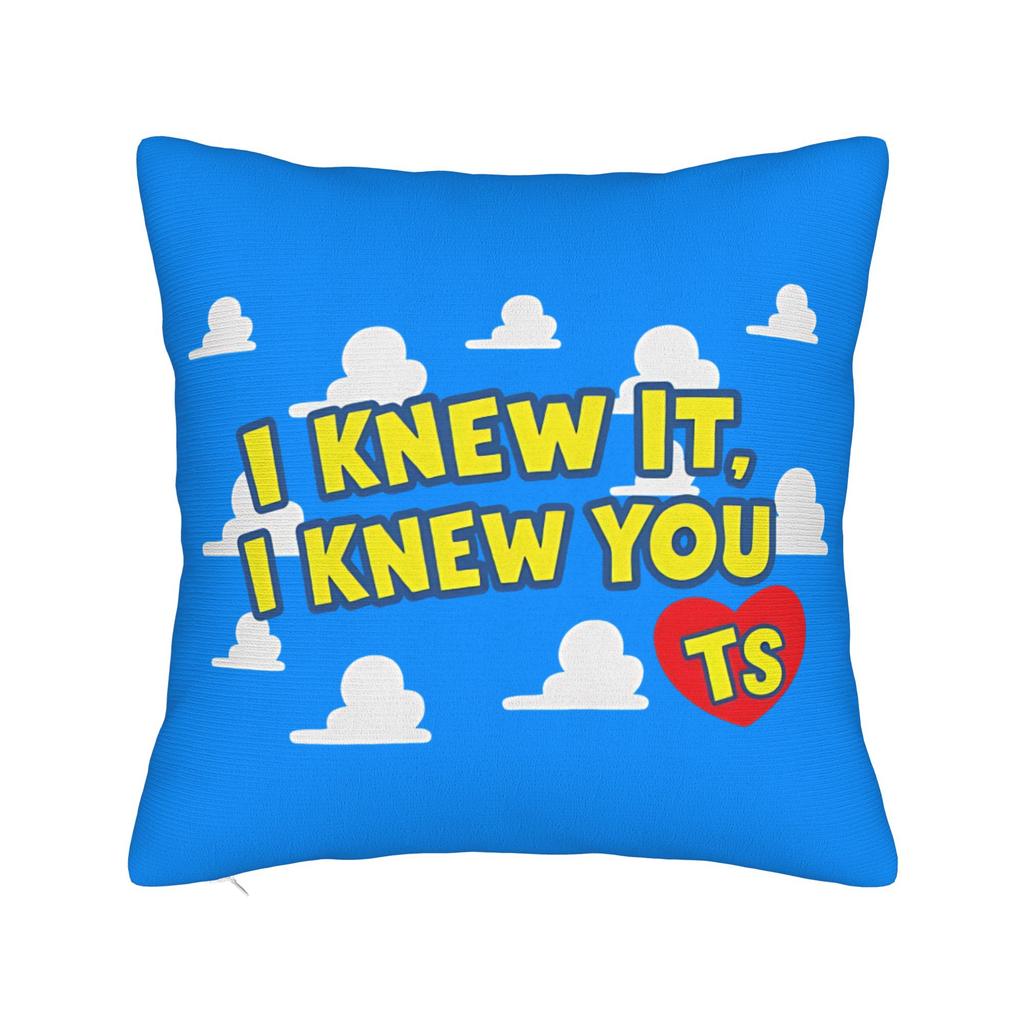 I Knew It I Knew You Cartoon Movie Square Pillow Cases TS Cushion Covers Customized Zippered Decorative Pillowcase for Sofa