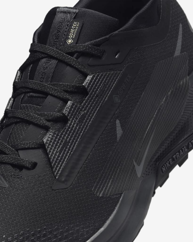 FQ0908-002 Nike Pegasus Trail 5 GORE-TEX Black Anthracite (Men's)