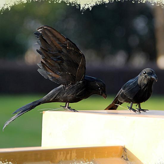 Artificial Crow Feathered Realistic Handmade Standing/Flying Foam Home Garden Decoration Mini Halloween Ornament Tree Simulation Animal Black Bird