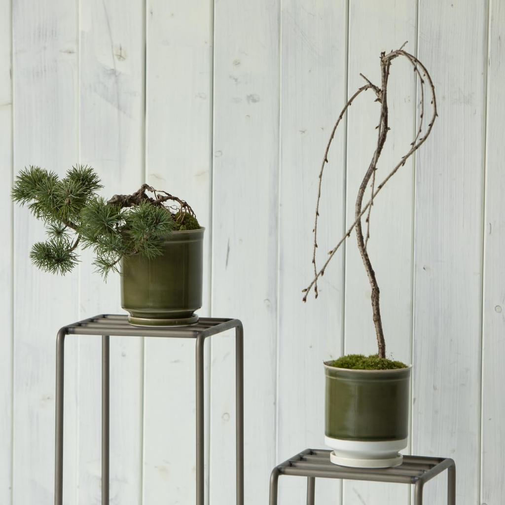 Leaf88 Made in Japan Hasami-Keramik Blumentopf mit Größe und Untertasse, 10,5x11,5cm, 3,5 (Matcha Weiß)