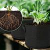 2-50 Gallon Felt Plant Grow Bags Strawberry Vegetable Fruit Thickened Fabric Planting Bag Plant Seedling Bag With Handles