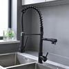 TLXT Kitchen Sink Spring Pull-Out Faucet
