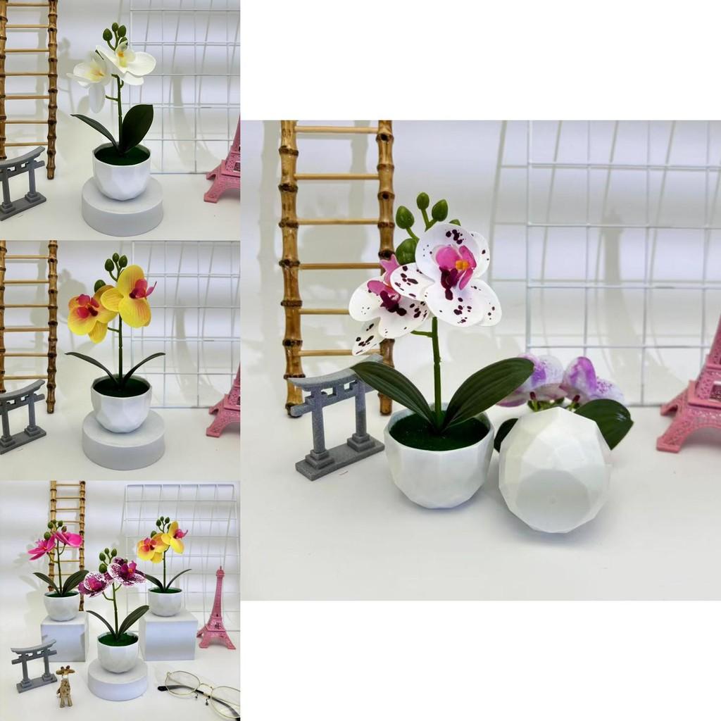 Butterfly Orchid Imitation Plant For Party Decorations And Photography Shoots