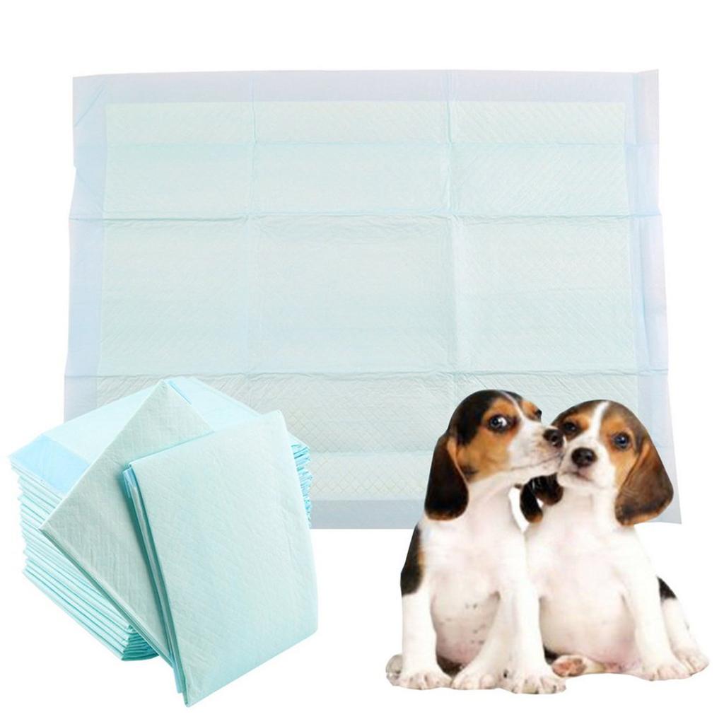 dog training diapers
