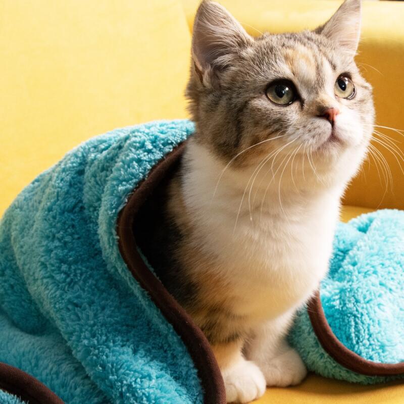 Pet Towel CTW-M Microfiber Bath Towel Blanket