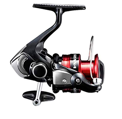 SHIMANO 19 Sienna C3000 Spinning Reel with 3-gauge, 150m Line, for Eging, Sea Bass, and Light Shore Saltwater Fishing
