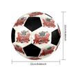 Arsenal F.C Soccer Ball Colorful All Ages Machine Stitched PVC Competition Ready Durable High-Bounce.SIZE5