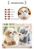 Mengbang Schnauzer Plush Dog Toy - Soothing Doll for Kids' Birthdays