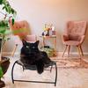 Elevated Cat Hammock Bed Comfortable Breathable Removable Raised Standing Pet Sleeping Bed for Home