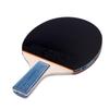 Double Fish 1-Star Beginner Table Tennis Racket