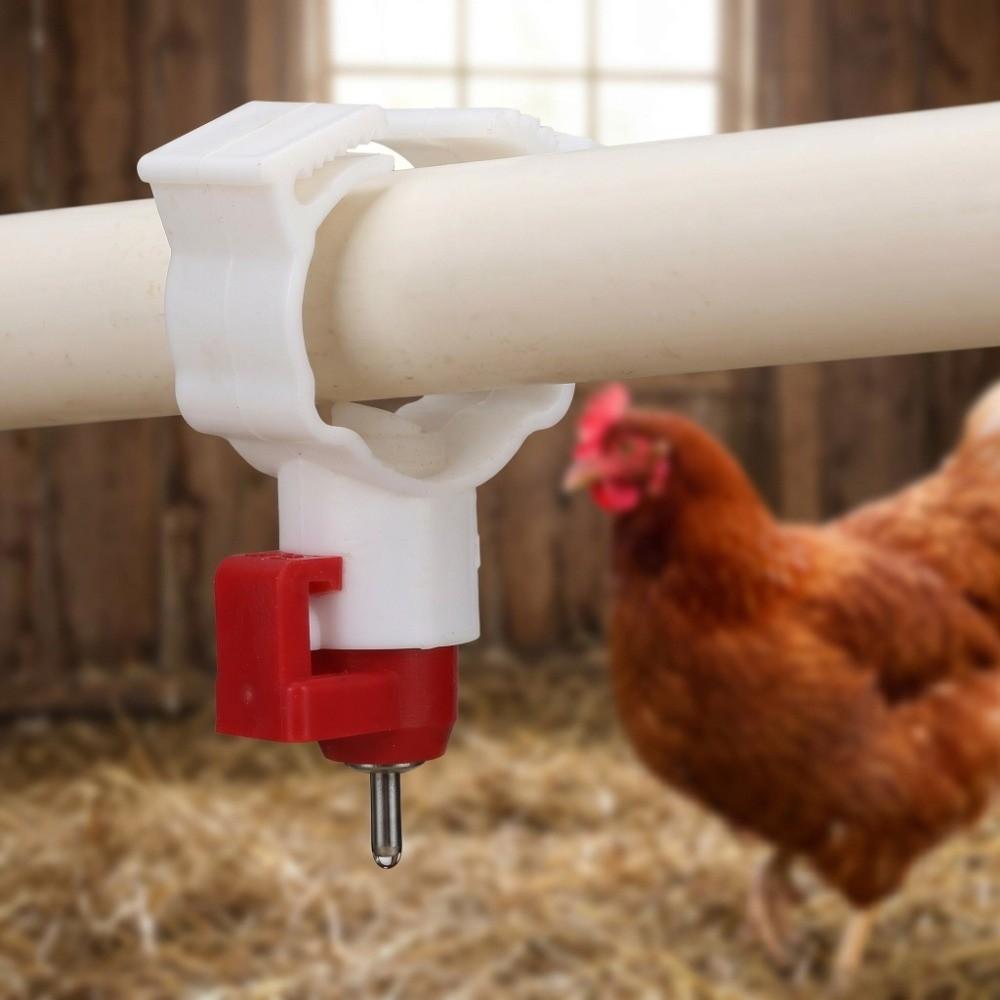 20Pcs Plastic Chicken Nipple Feeder Red & White Chicken Nipple Drinker Poultry Rearing