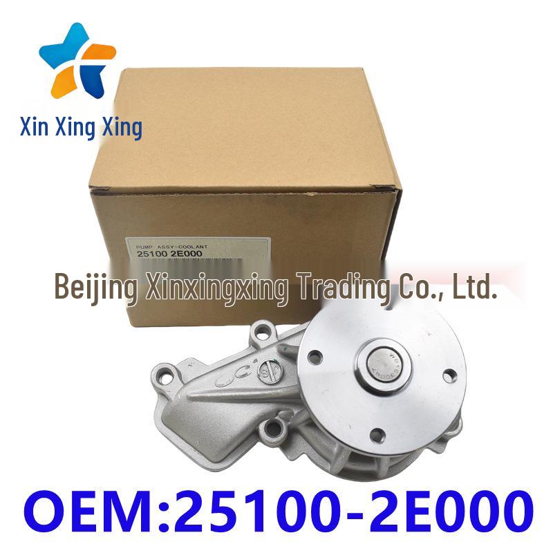 Hyundai Kia 251002E000 Engine Water Pump for Cars
