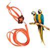 Adjustable Pet Bird Harness Nylon Material Parrot Leash Bird Harness Leash  Outdoor Flying