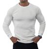 Muscleguys Fashion Autumn Plain Colour Long Sleeved Men's Round Neck Thin Knit Shirt Casual Fitness Clothes