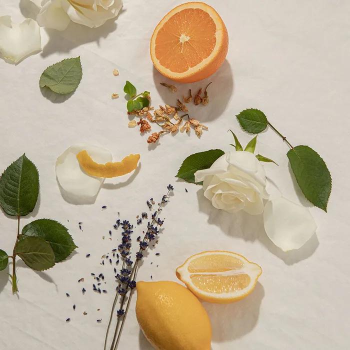 Oat Enough Line Subuji 2-piece Set