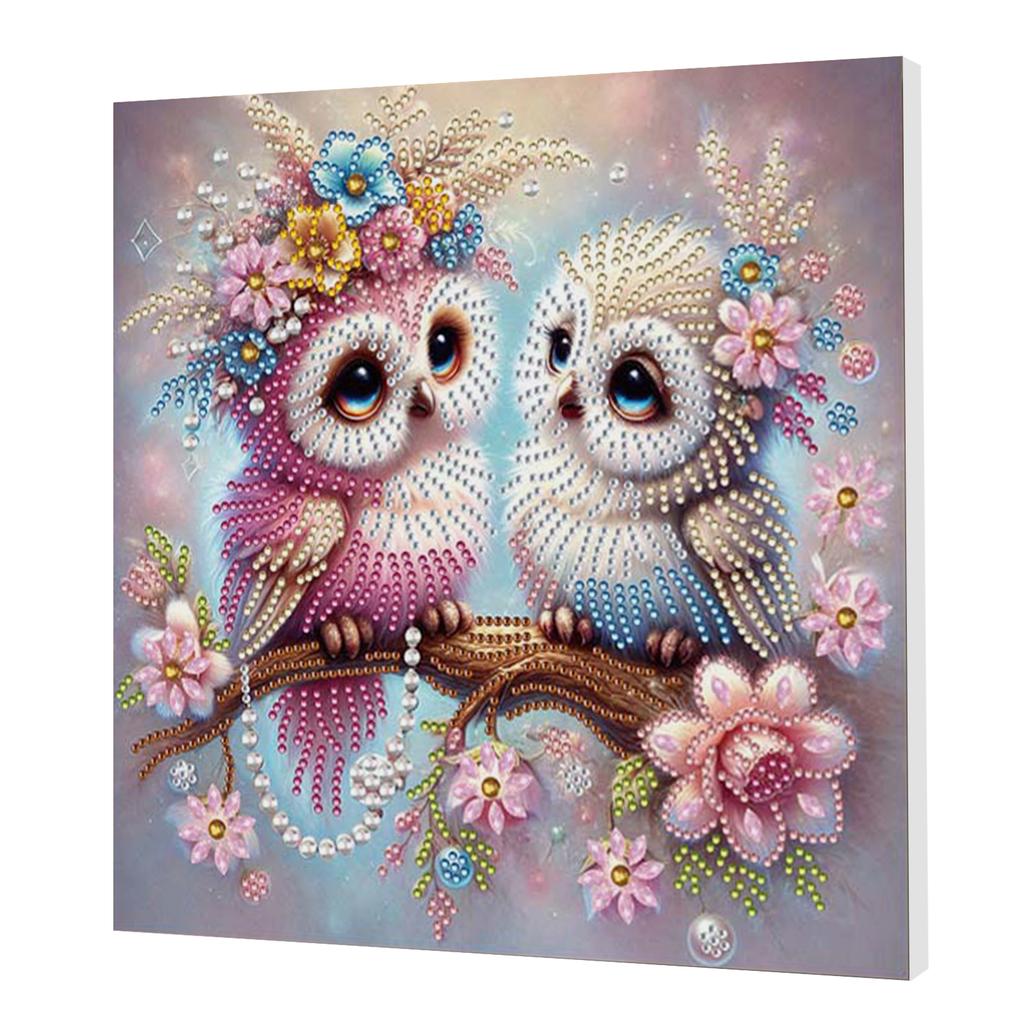 DIY Special Shape Drill Art Craft Pearl Diamond Painting with Frame 25x25cm Pearl Art Painting Set for Adults Home Wall Decor
