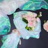 5M Iridescent Organza Fabric For Stage Costumes Nylon Wedding Backdrops Multiple Options Available