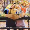1 Adet Otomatik Katlanır Şemsiye - Luffy D Desenli Taşınabilir Katlanabilir Tasarım 8 Kemerli Noel Doğum Günü Hediyeleri
