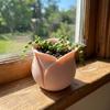 Desktop Ornament Plastic Mini Rose Shape Pots Cute Decorative Succulent Plant Basin Unique 3D Printed Plant Pot Balcony