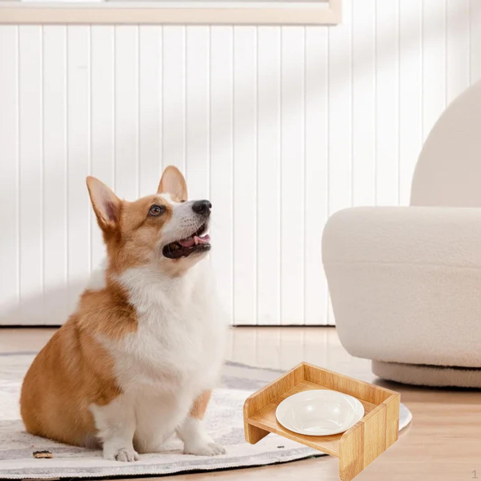 

Кошачья миска для кормления, деревянный кронштейн, противоскользящий, прочный, съемный, рвотный, портативный для собак белый