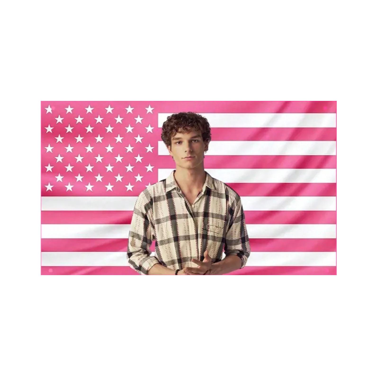 

Mason Thames Pink Flag Tapestry Girl Killer Cute Actor Poster Fraternity Dorm Decor Flat Print 74x94cm(29x37in)