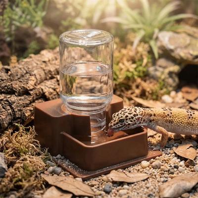 Automatische Nachfüllfunktion Reptilien-Wasserschale Platzsparend Anti-Rutsch-Basis Reptilien-Wasserspender Kunststoff Abnehmbar