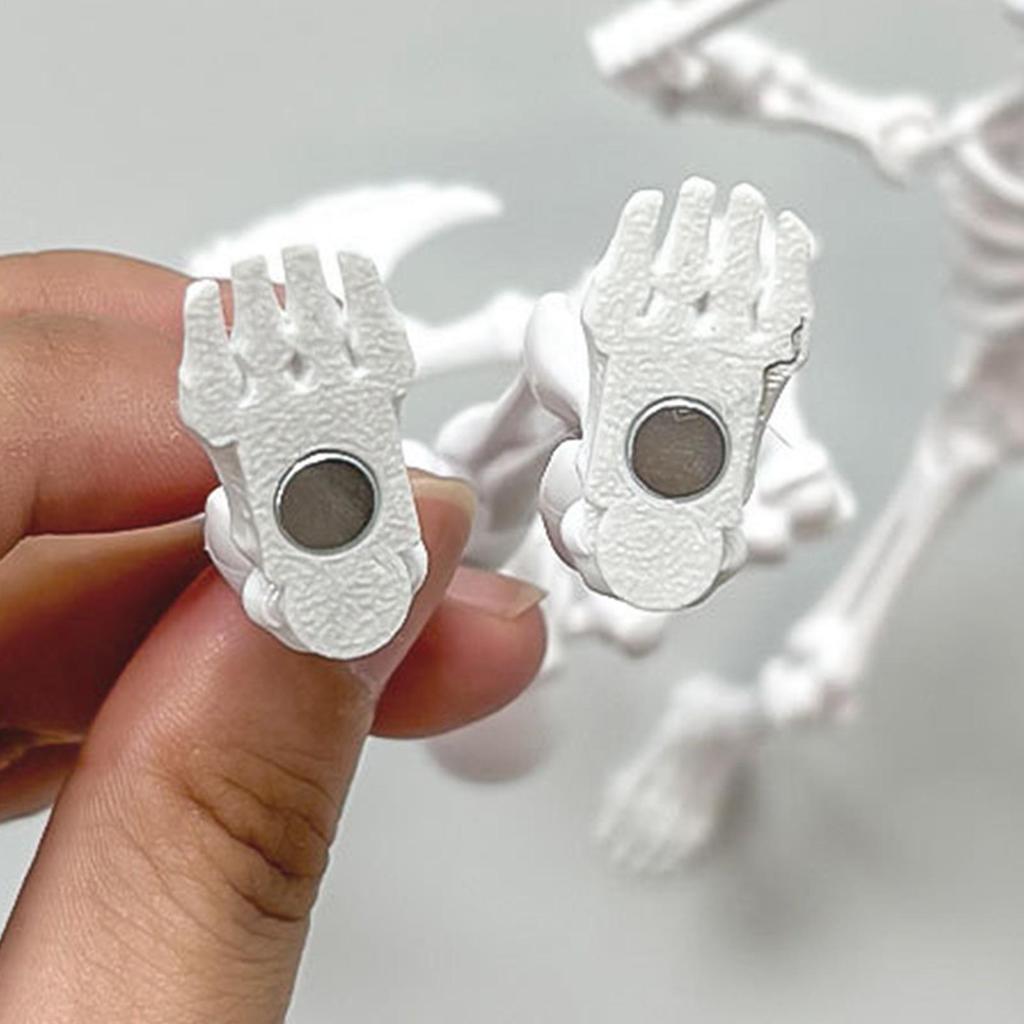 Akční figurka kostlivce Pohyblivá panenka kostlivce Pro Halloween Model lidské kostry Hračky Figurka Dekorace Pro sbírání Vystavení Vnitřní