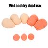 8pcs Makeup Sponge Wet Dry Dual Use Makeup Soft Powder Puff Makeup Tool