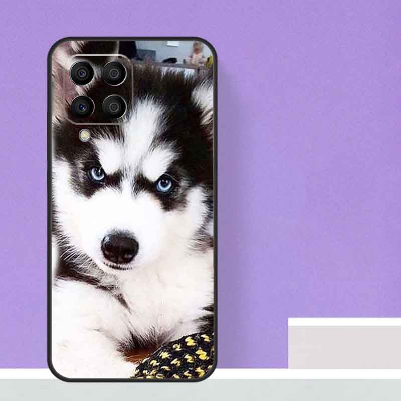 Animal Husky puppy Case For Samsung Galaxy M14 M34 M54 M31 M11 M13 M53 M51 M12 M32 M52 M16 M36 M56 M15 M35 M55