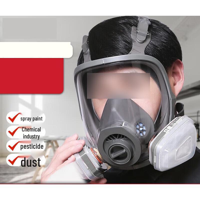 HUQUE Full-Face Chemical & Dust Protection Mask