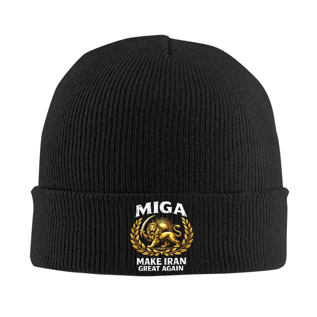 Lion and Sun of Flag Emblem Knitted Caps Women's Men's Beanie Autumn Winter Hats Acrylic  Warm Caps
